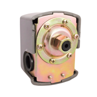 Реле тиску без захисту холостого ходу SK-6C Farmer 1/50