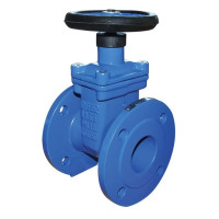 20E900I065V16EE Задвижка высокопрочный чугун с прорезиненным клином DN65 Brandoni S.p.A.