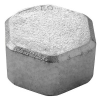 30025004 Заглушка оцинкована білий чавун Ø3/4