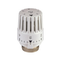 4000000000 Термоголова з рідинним датчиком BIANCHI F.lli S.p.A.