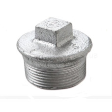 29025005 Заглушка оцинкована білий чавун Ø1