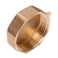 Заглушка під пломбу внутрішня 1 1/2