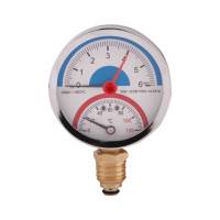 Термоманометр SD Plus 80х1/2