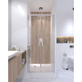 Душові двері в нішу Qtap Gemini CRM209.C6