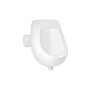 Писсуар подвесной детский Qtap Scorpio 420х300х465 White QT1488HDU580W